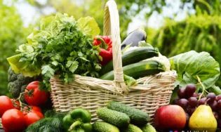 Cuchillos para verduras o vegetales